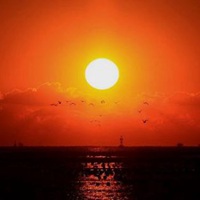 冉冉升起的红太阳图片 清晨冉冉升起的红太阳唯美图片_微信头像图片