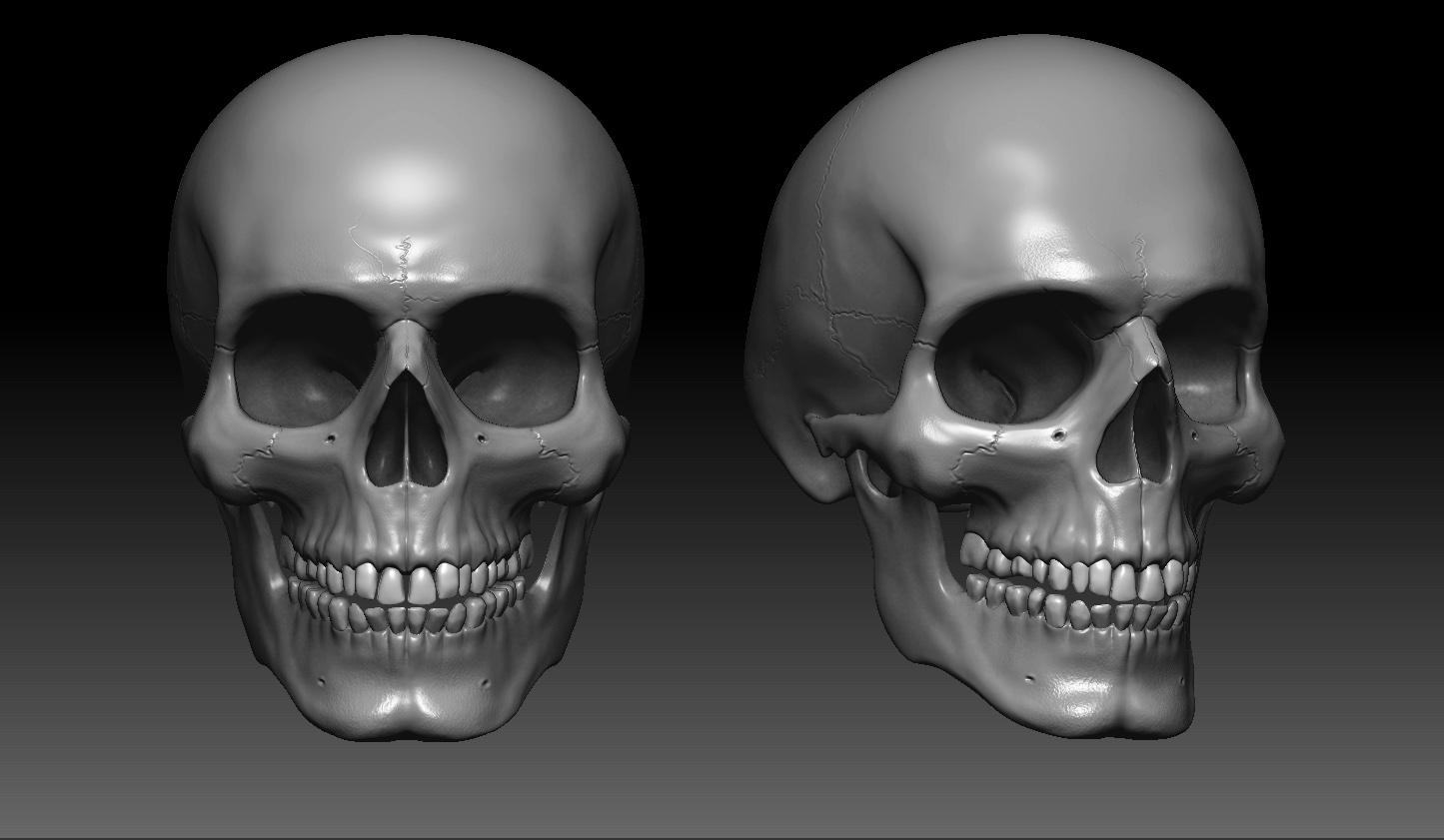 3d现实人类男性头骨,lowpoly / highpoly3d模型