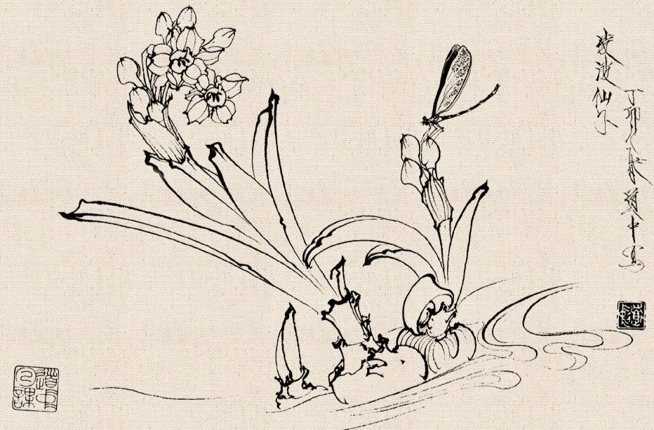 王道中工笔白描花卉欣赏_腾讯新闻