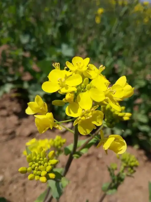 春天,一起上山下海