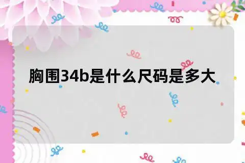 胸围34b是什么尺码是多大