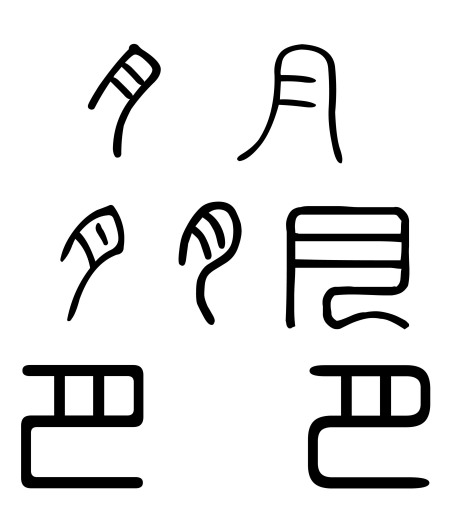 月的大篆怎么写