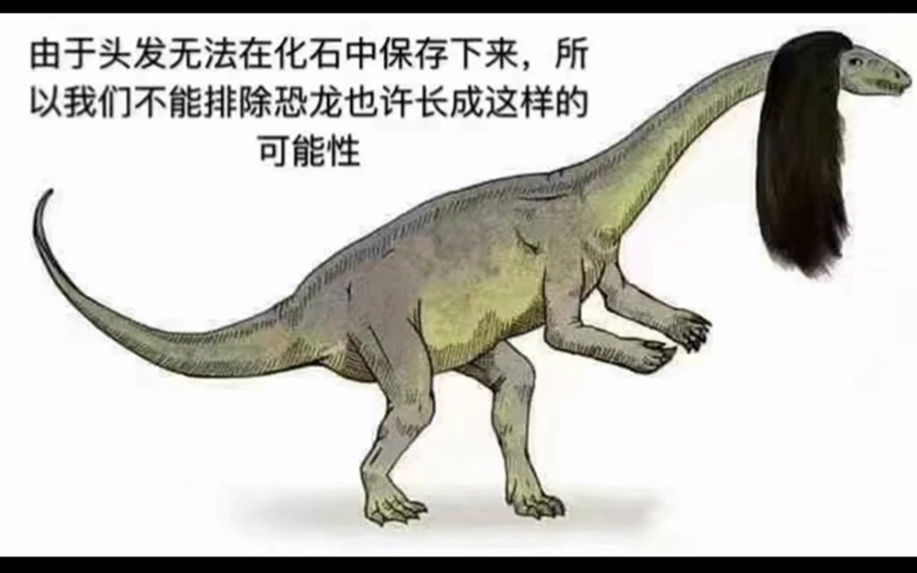 那些笑到肚子疼的沙雕图(第四期)