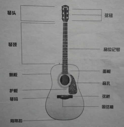 指玩社自学吉他课程
