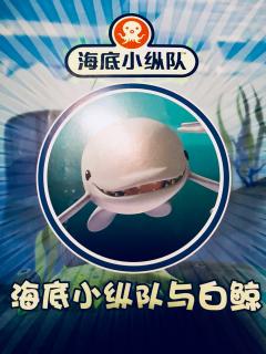 03-1 海底小纵队与白鲸