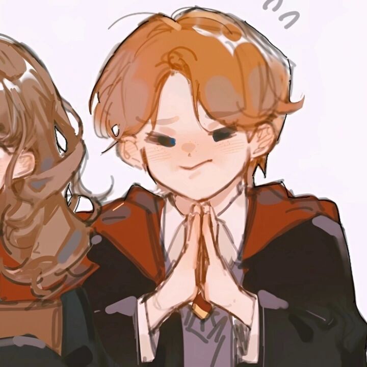 谈谈你最磕哈利波特的哪对cp