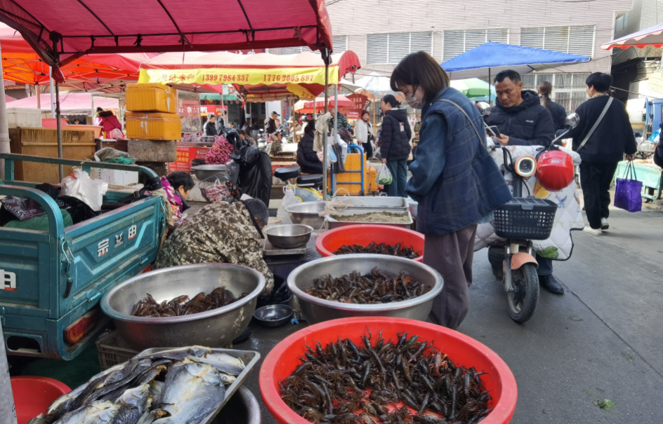 鲜活小龙虾跳上餐桌你尝鲜了吗