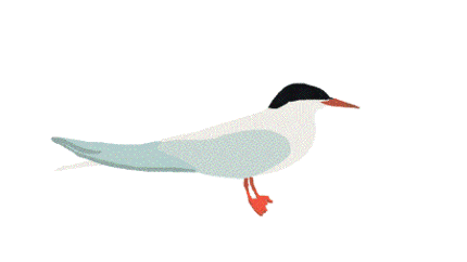 430_242gif 动态图 动图