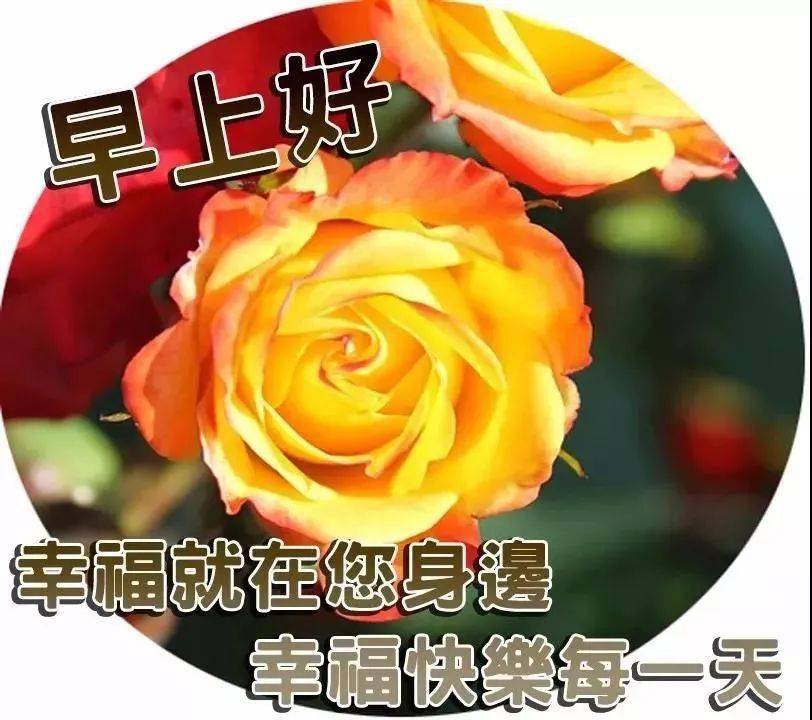 2021寒冬早上好动图表情包图片带字冬天早安问候祝福语图片大全