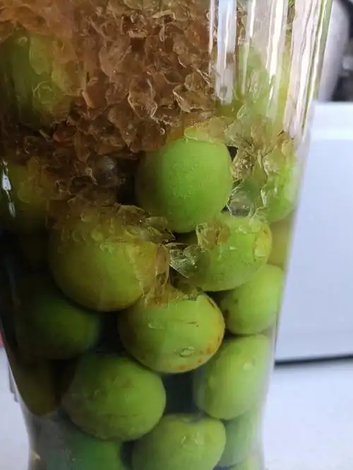 等待一年,期待给我的惊喜96泡青梅酒很上瘾啊!2022.5.21#自制青梅酒