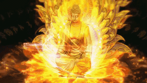 500_281gif 动态图 动图