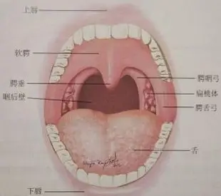 新疆一建医院专家分析腺样体肥大的症状