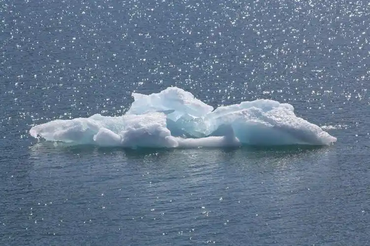 浮冰,海,北极,冰山,蓝色,自然,水