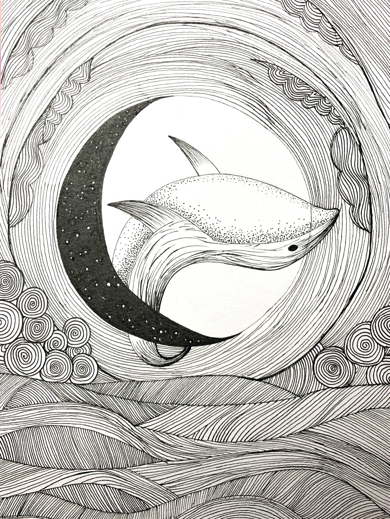 控笔训练 控笔练习线条画素材 海豚