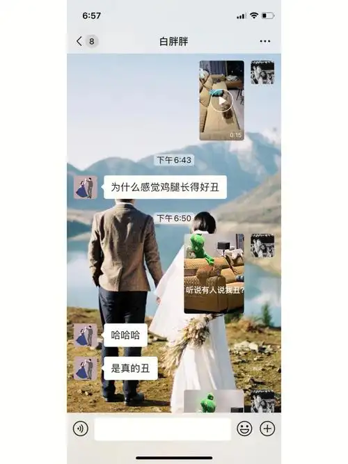 老公说我的猫长得丑