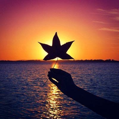 简约小清新风格唯美意境头像_风景静物头像_我要个性网