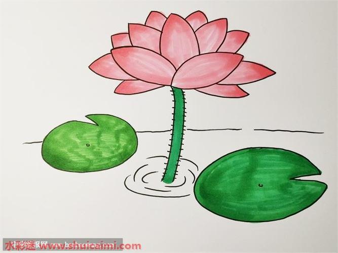 画睡莲的简笔画