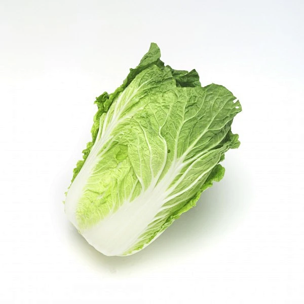 白菜图片