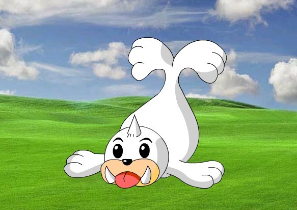 小海狮词条图册_百度百科