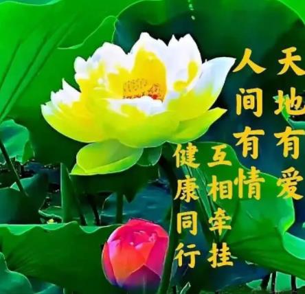 关心牵挂的问候图片