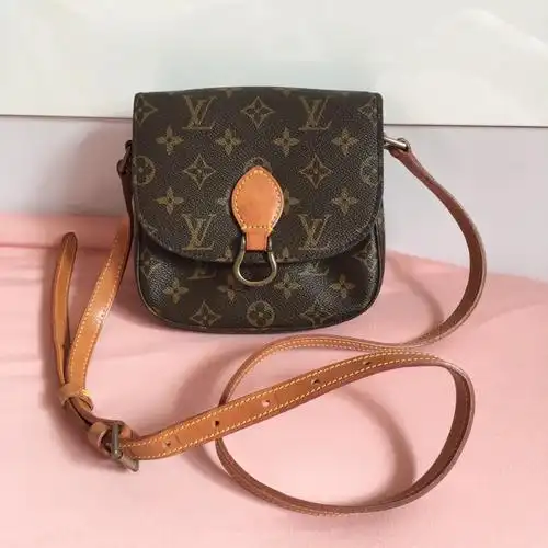 超百搭的小号lv老花马鞍包