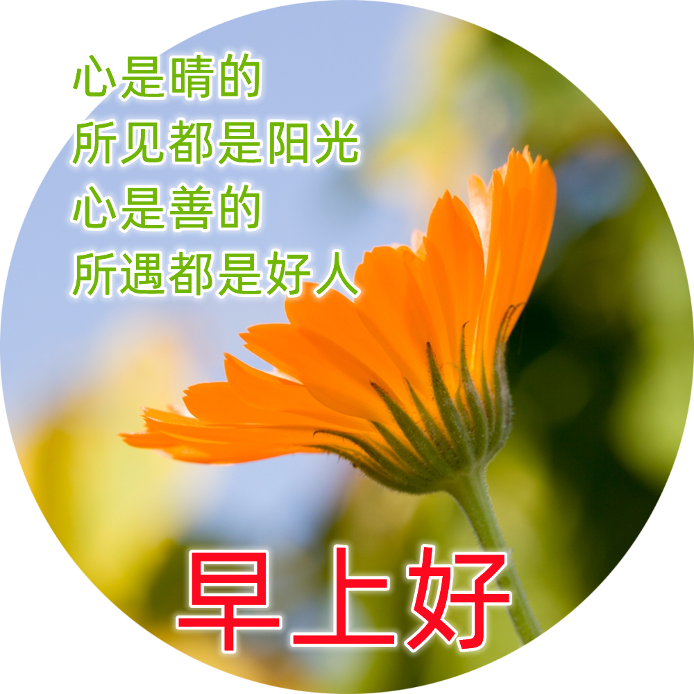 清晨适合微信群发早上好表情图片 最漂亮早安问候语图片