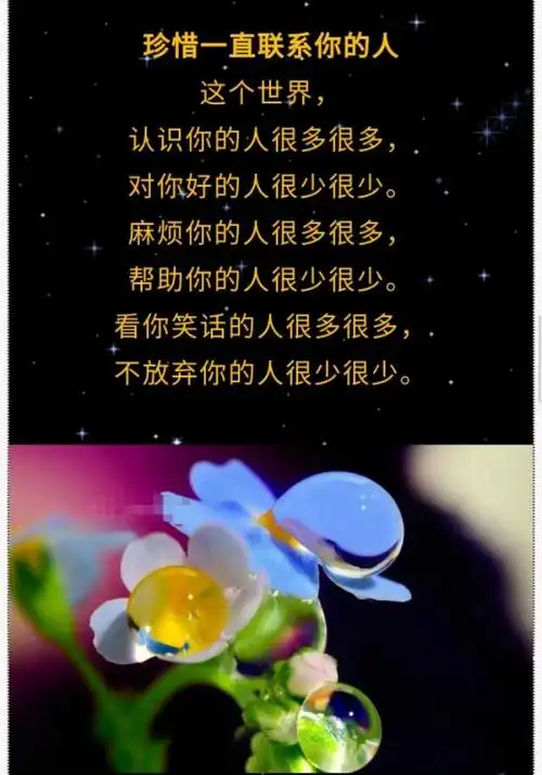 珍惜缘分图片带字唯美