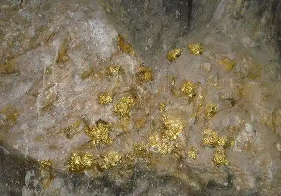 金矿中砂金矿的品位较低,选别方法单一,岩金矿品位相对较高,选矿方法