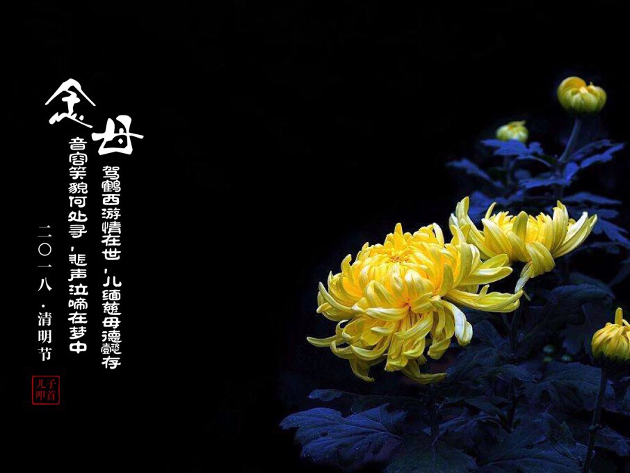 明天是妈妈百日的祭辰,我怀念妈妈,仅以这篇短文慰籍故去的母亲,寄托