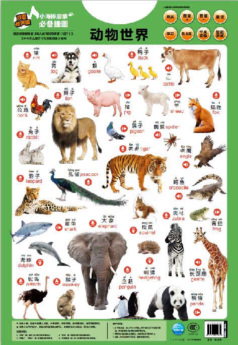 恐龙世界动物世界 双面有声版 小海豚启蒙挂图 启蒙教育识字识图趣味