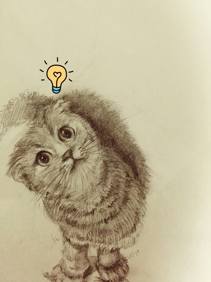 手绘铅笔 猫