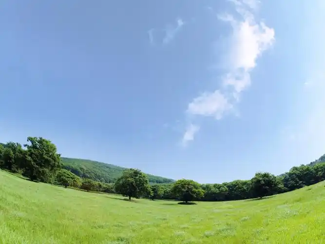 收藏到专辑查看大图(源图)