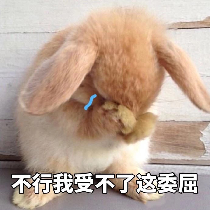 不行我受不了这委屈兔子委屈受不了兔子不行表情