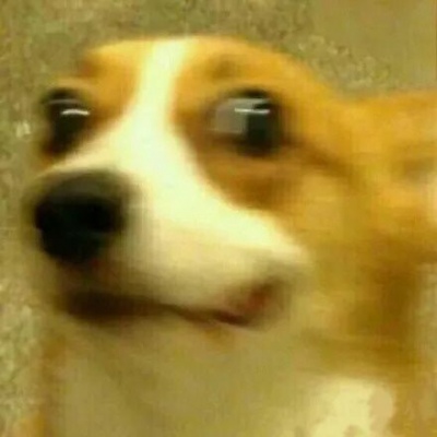 超级沙雕闺蜜头像你爱了吗