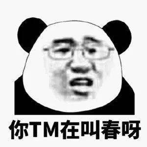 沙雕熊猫头表情包来评论聊天啦