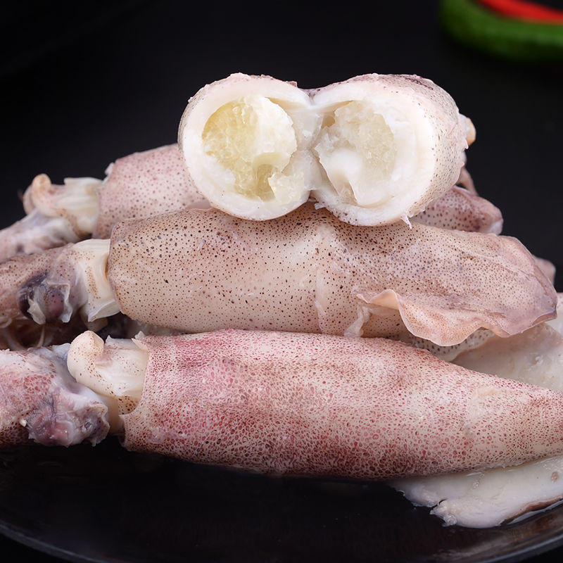 鱿鱼仔全籽籽乌带籽满籽乌鱼新鲜鱼墨鱼鱿鱼八爪鱼斗鱼海鲜批发