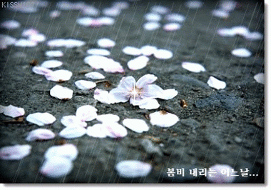 400_280gif 动态图 动图