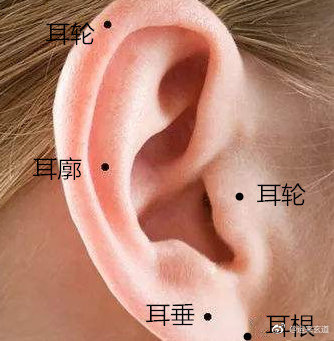 耳朵上的痣也是有好有坏的,那么如何区别哪. 来自运来玄道 - 微博