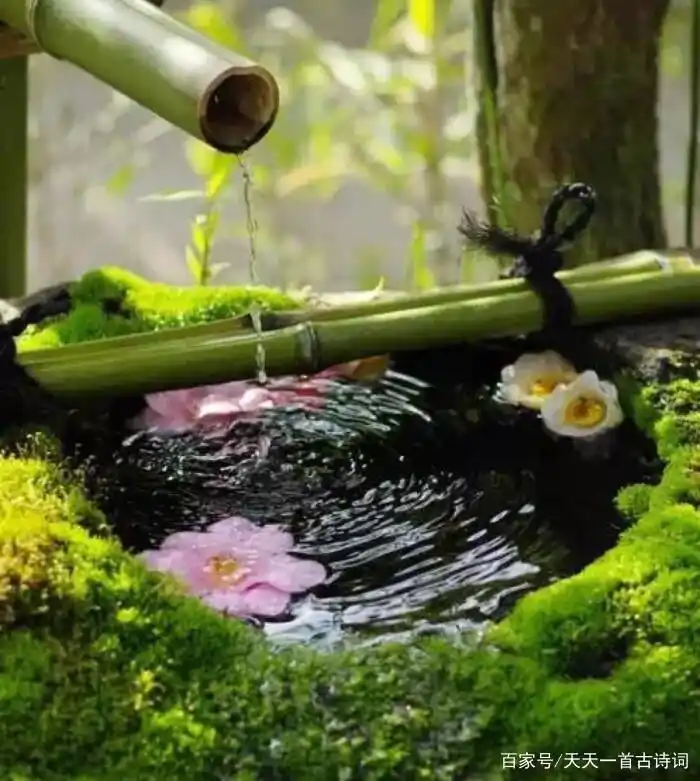 天气渐冷,4首冬天里的禅意哲理诗,伴你安然过冬