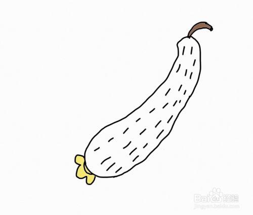 黄瓜简笔画儿歌与知识怎么画彩色简笔画黄瓜黄瓜简笔画步骤图解教程及