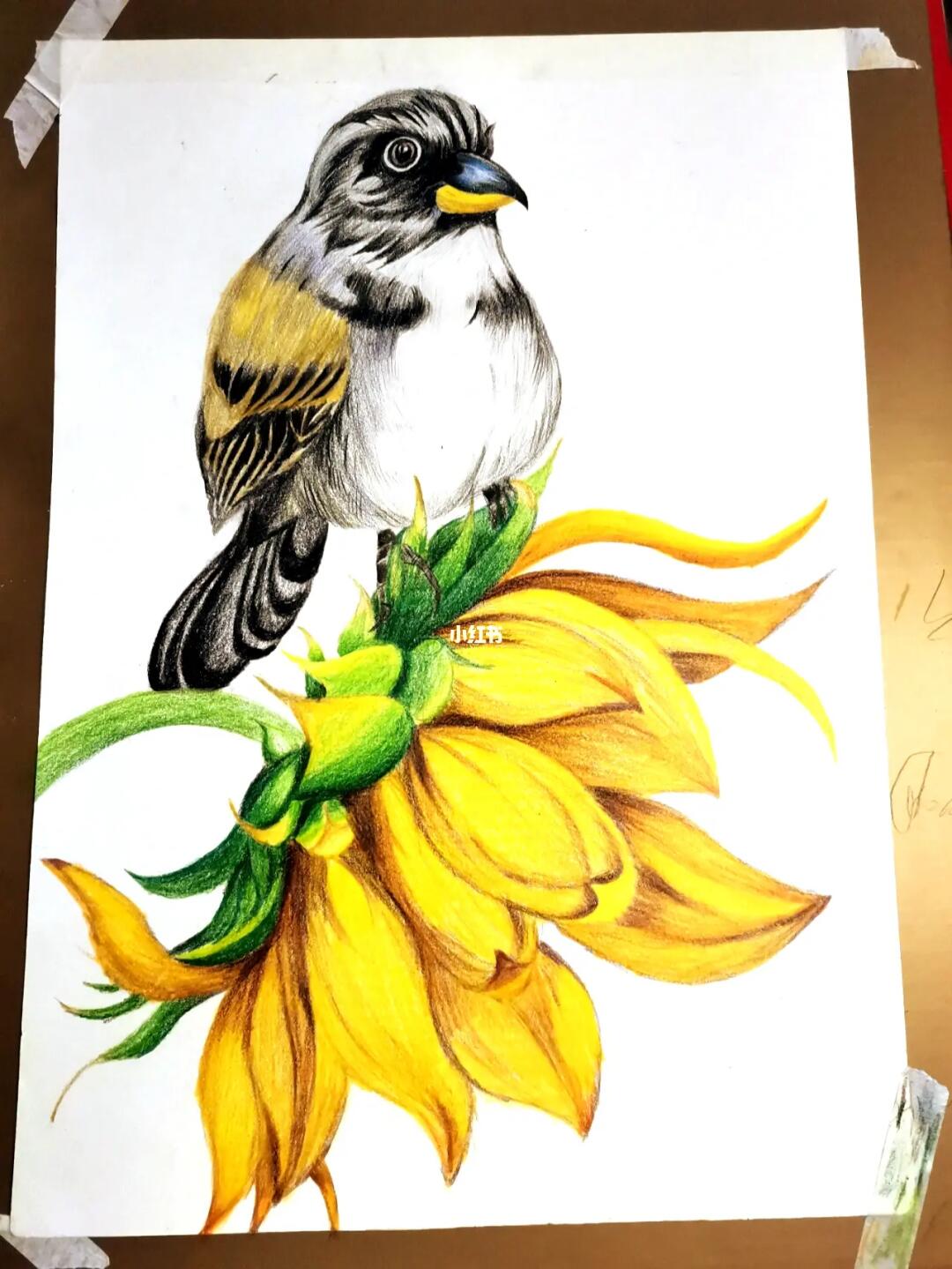 彩铅绘画  假期临摹第一次接触还好没失望