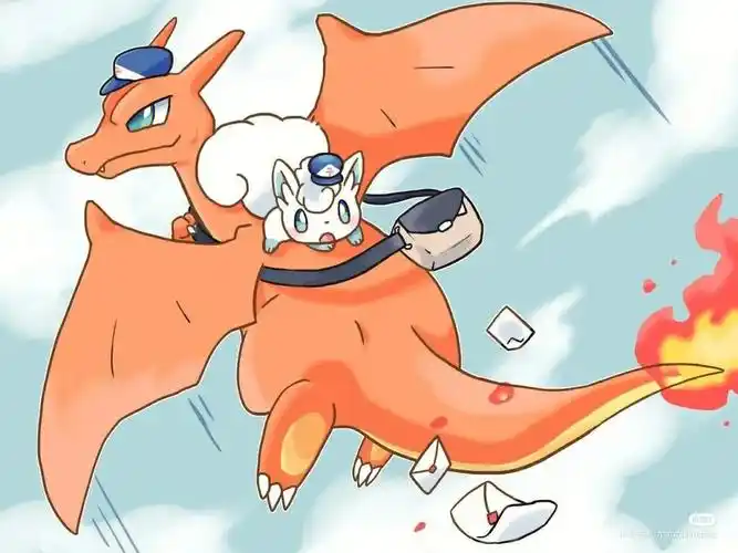 可爱的六尾来啦