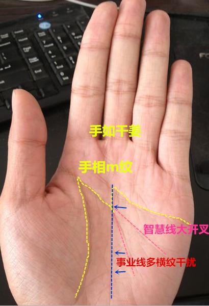 一生有几个孩子生男还是生女手上就能看出来特别准