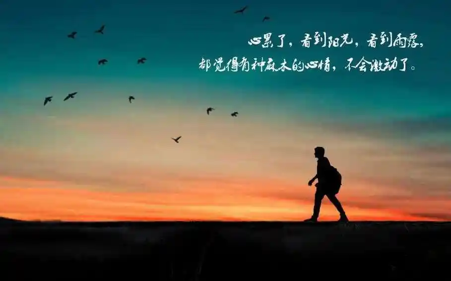 谁都靠不住,只能靠自己