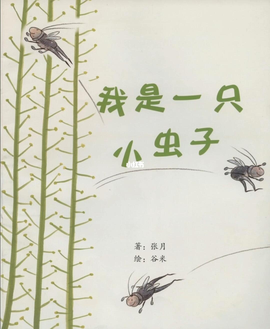 绘本推荐我是一只小虫子