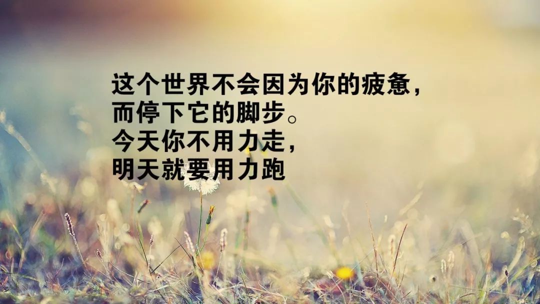 早上最棒的经典励志个性语录