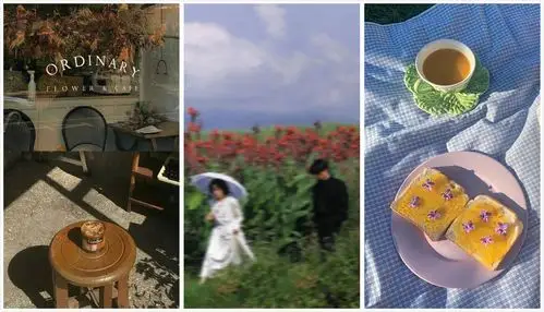 【壁纸】ins风壁纸,迷恋森林与雾