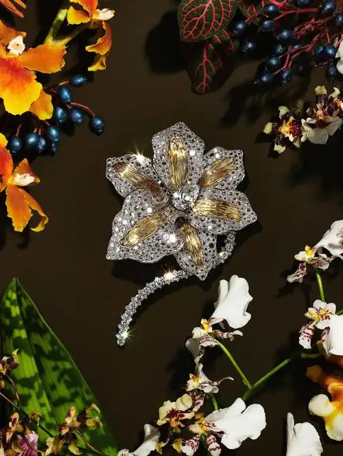 蒂芙尼2022blue book高级珠宝(1)