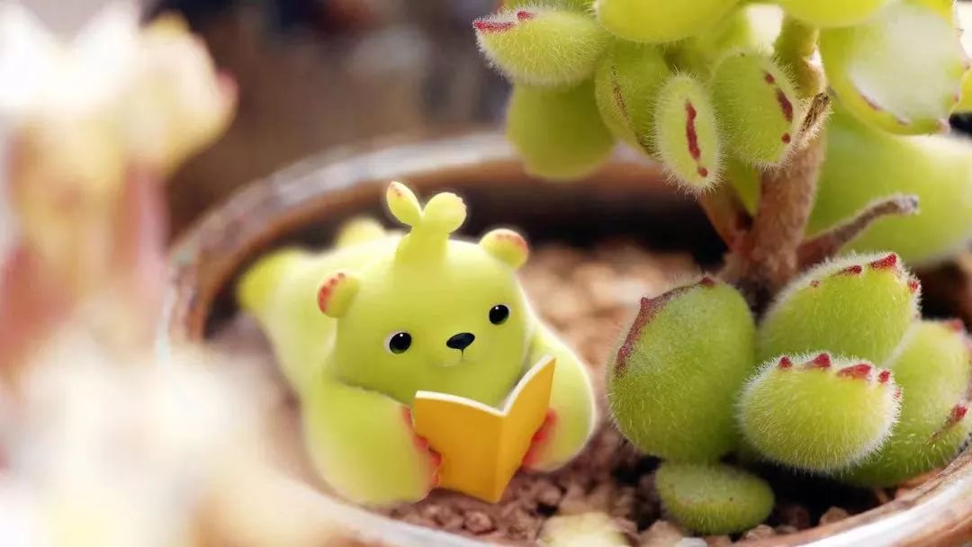 直播狂欢正当时我想开个实体店