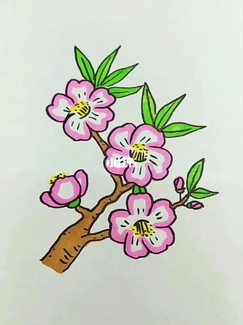 儿童画怎么画桃花简笔画简单又好看桃花简笔画彩色画法步骤图解教程